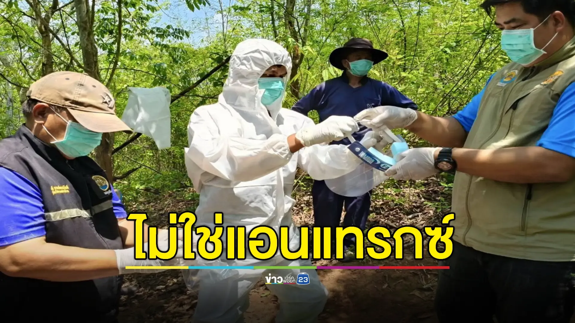 ปศุสัตว์เผยสาเหตุวัว 3 ตัวตาย คาดกินเชือกไนลอน