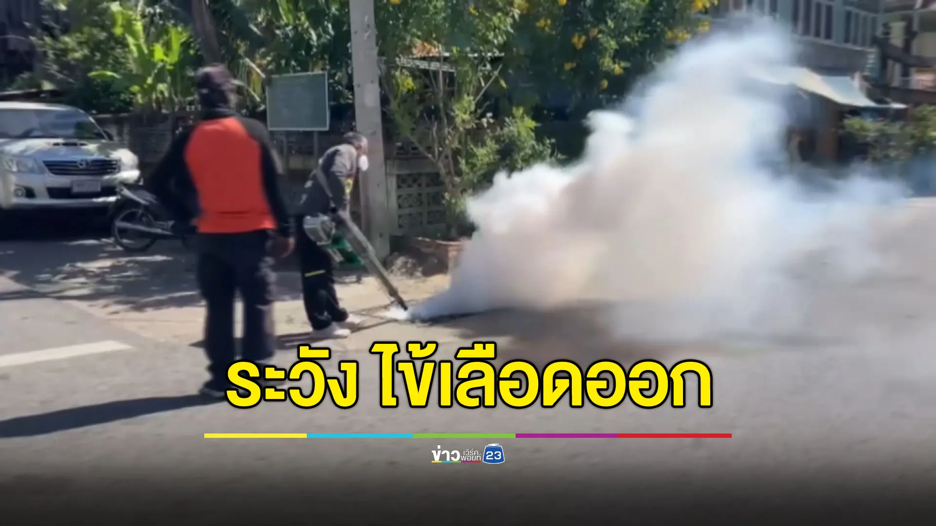 หน้าฝนระวัง “ไข้เลือดออก” แค่ 4 เดือน อีสานล่างป่วยแล้ว 500 ราย