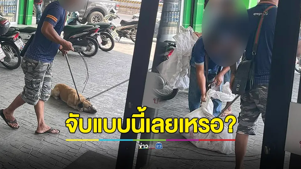 เพจดังรุดช่วย! จับหมายัดกระสอบ โซเชียลถาม จับแบบนี้เลยเหรอ? 