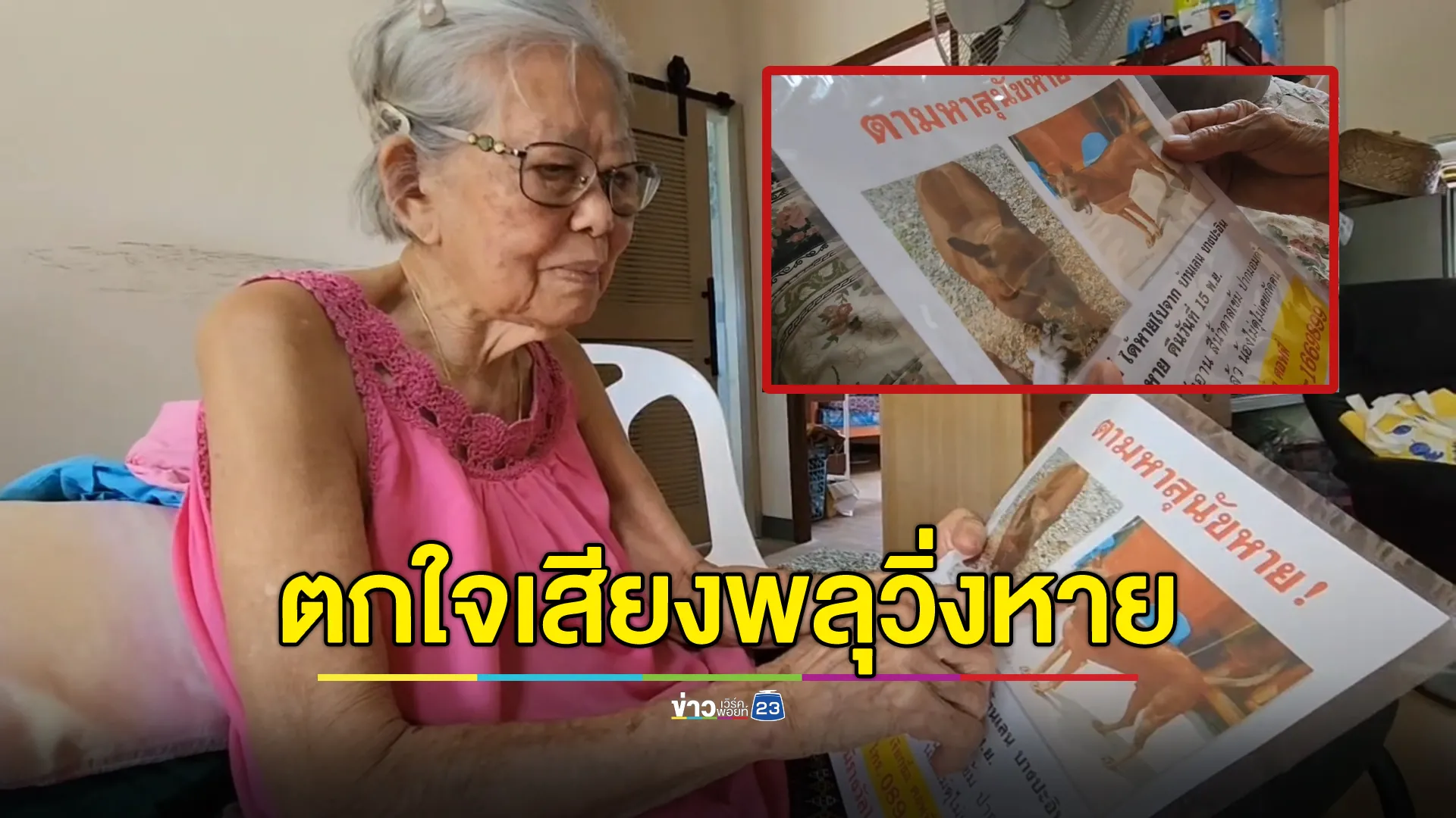 คุณยายสุดเศร้าสุนัขแสนรักตกใจเสียงพลุคืนลอยกระทงวิ่งเตลิดหายยังไม่พบ 