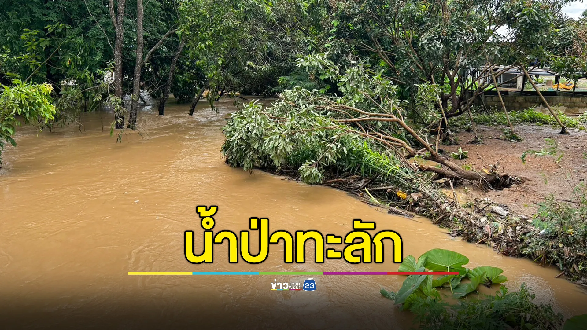 ฝนตกหนักน้ำป่าเชียงรายทะลัก ท่วมบ้านเรือนริมห้วย 