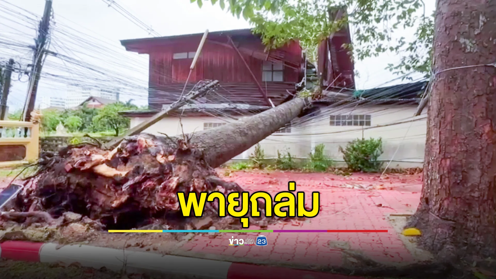 พายุกระหน่ำตัวเมืองระยอง ต้นไม่ใหญ่โค่น เสาไฟฟ้าหักทับบ้าน 2 หลัง
