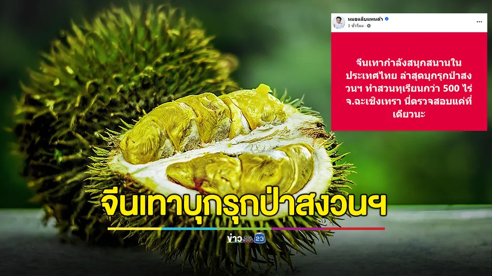 หมอแล็บ เผย จีนเทาบุกรุกป่าสงวนฯ ทำสวนทุเรียนกว่า 500 ไร่ จ.ฉะเชิงเทรา