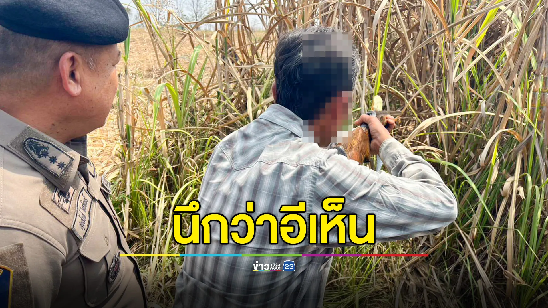 รวบตัวมือยิงชายวัย 43 ดับกลางป่าอ้อย 