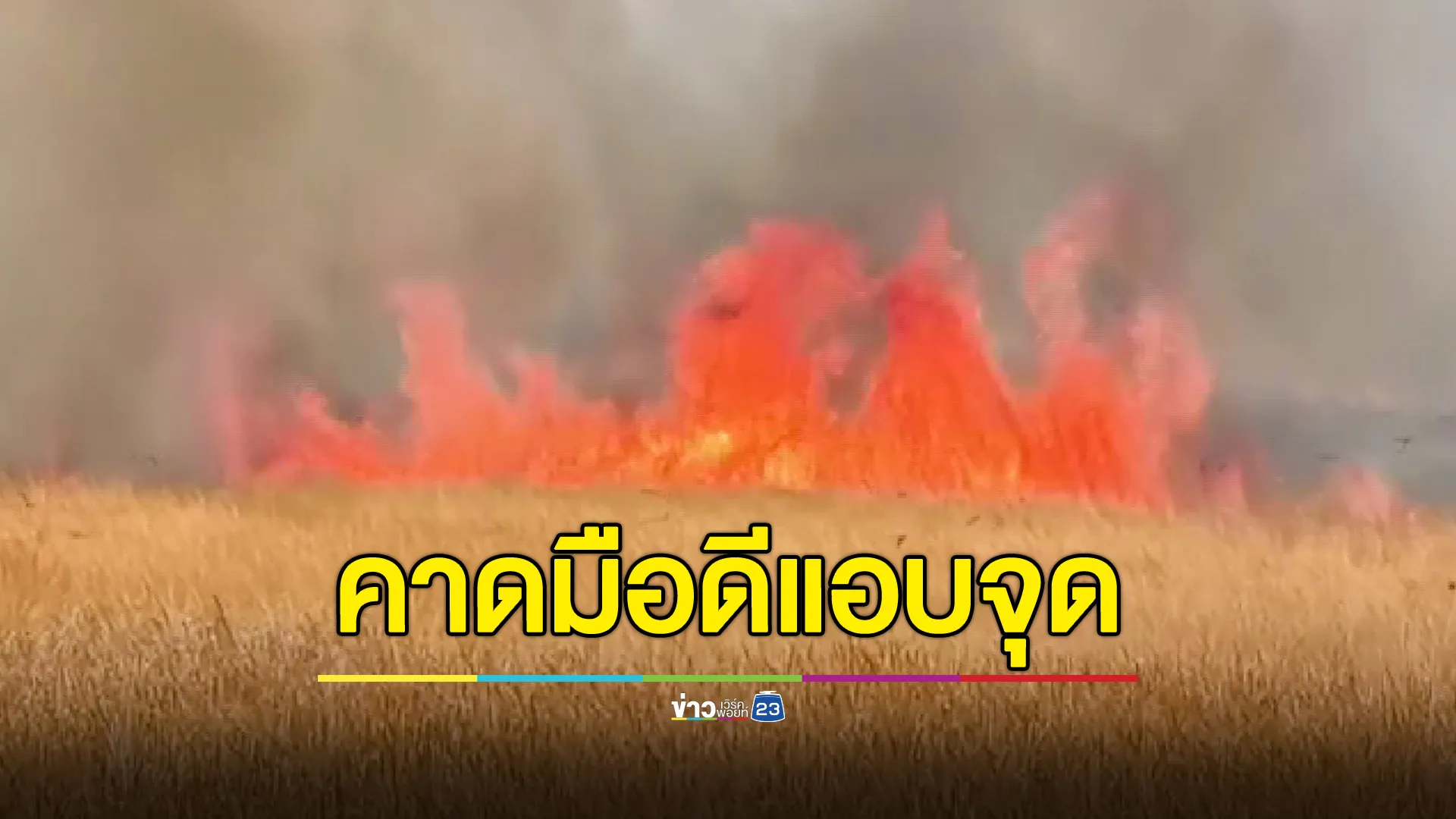  คาดมือดีแอบจุด! ไฟไหม้ป่าหญ้าแห้งที่พิมาย ลุกลามกว่า 30 ไร่ ทำฝุ่น PM2.5 พุ่งสูง 