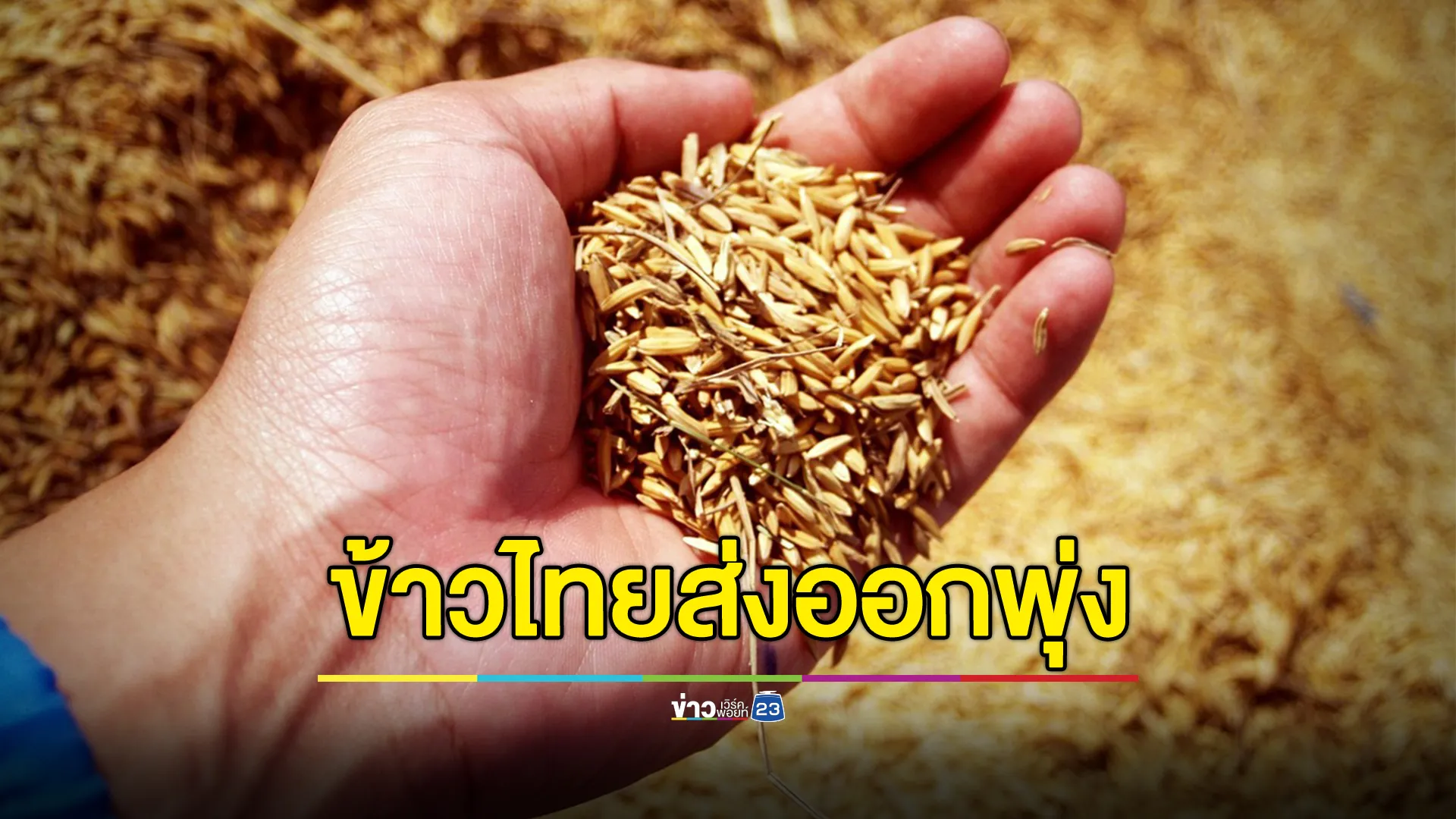 "ข้าวขาว"แชมป์ส่งออก เผยข้าวไทย ปี 67 ส่งออกพุ่ง13 % มากสุดในรอบ 6 ปี 