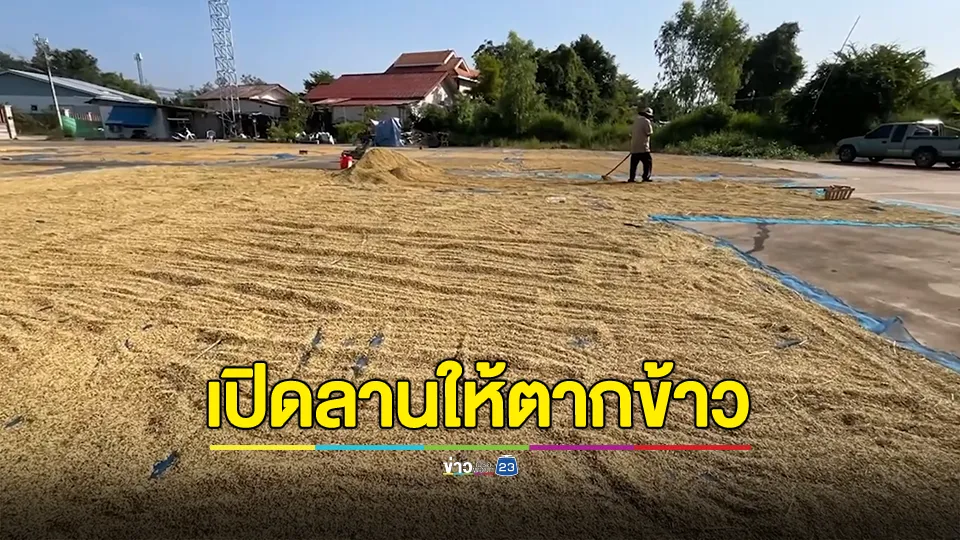 เปิดลานราชการ ให้ชาวนาตากข้าว ส่วนตากข้าวบนถนนทำได้ วอนทุกฝ่ายเห็นใจ