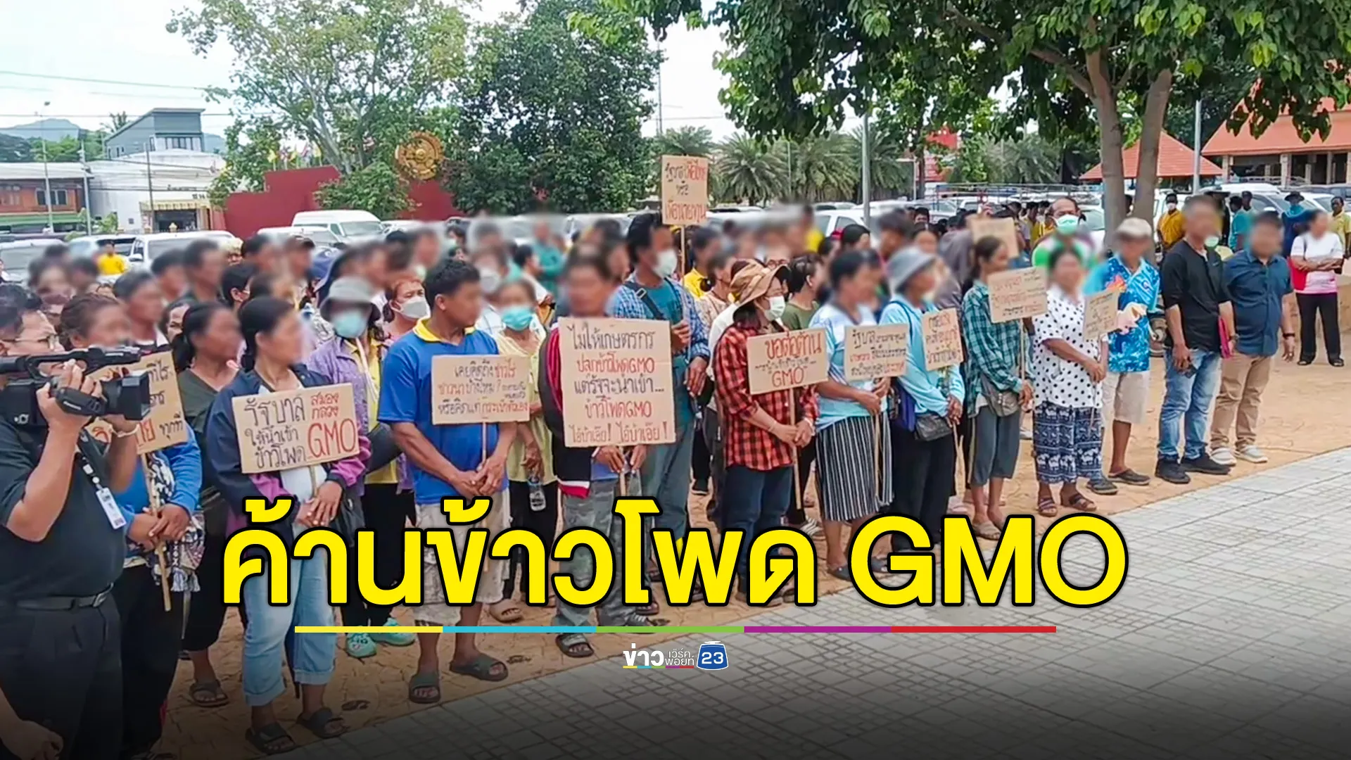 เกษตรกรผู้ปลูกข้าวโพดเพชรบูรณ์ คัดค้านการนำเข้าข้าวโพด GMO