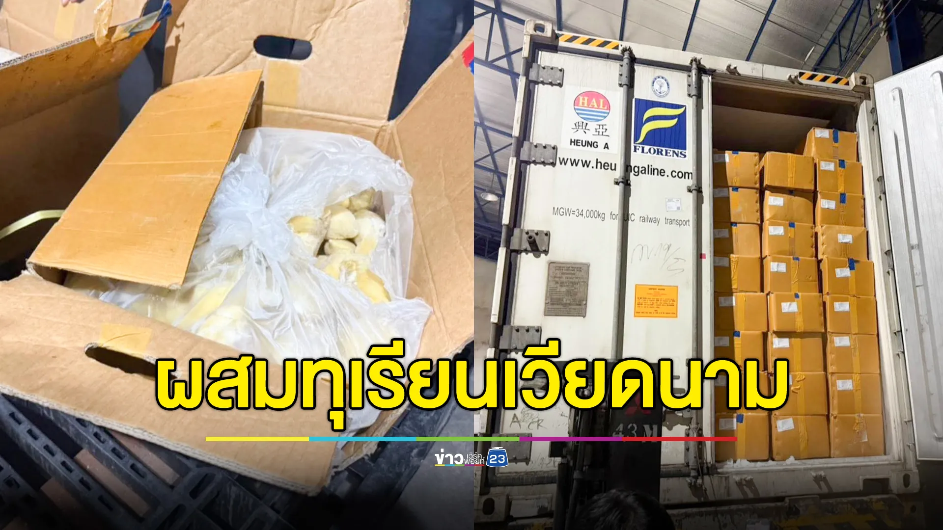 จีนหลอกจีน ผสมทุเรียนเวียดนามและทุเรียนไทยส่งออก ลูกค้าเริ่มกลัว 