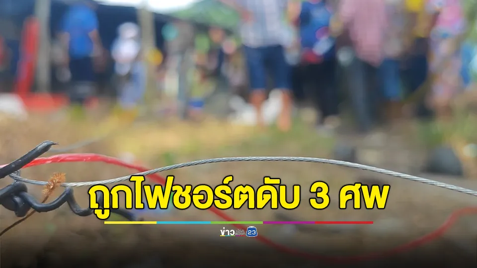 อุทาหรณ์ขึงลวดสลิงกันสุนัขถูกไฟชอร์ตดับ 3 ศพ