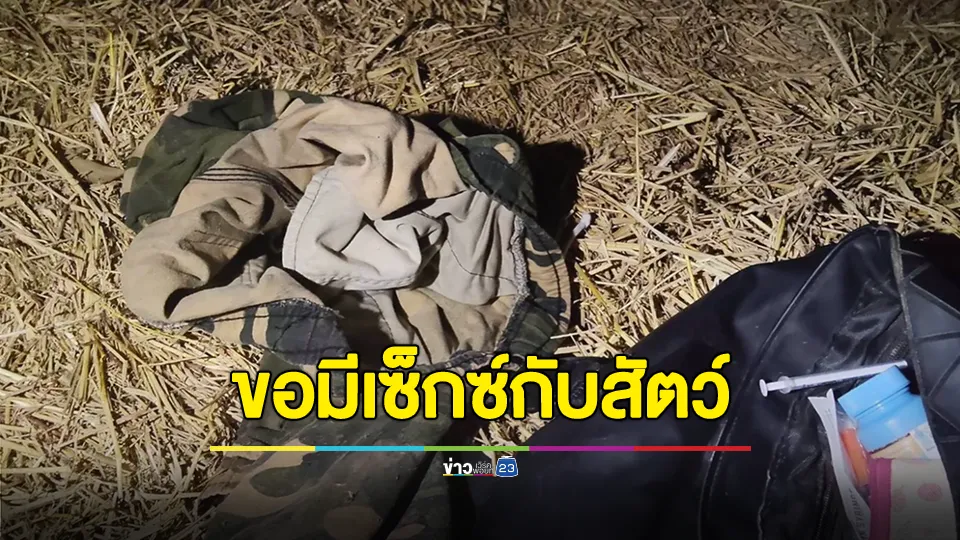 ชาวบ้านผวา! หนุ่มขอมีเพศสัมพันธ์กับสัตว์ หวั่นลามถึงคน
