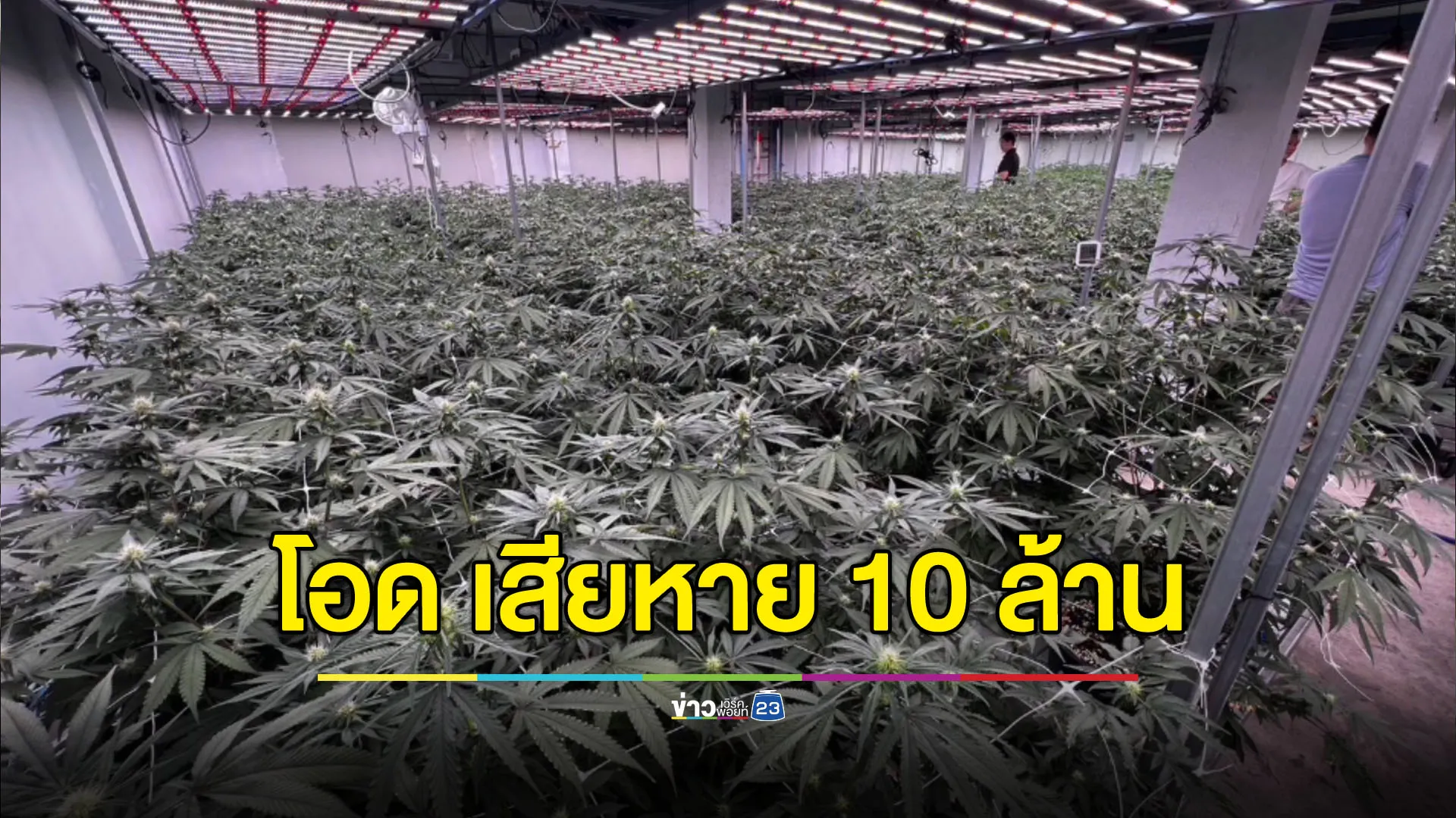 โอดเพิ่งเปิดร้านใหม่ได้ 2 วัน นโยบาย สธ.ทำเสียหาย 10 ล้าน