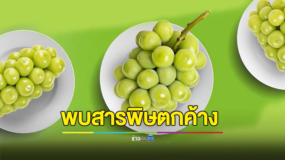 สะพรึง! สุ่มตรวจองุ่นไชน์มัสแคท พบสารพิษตกค้าง 50 ชนิด และพบตกค้างเกินค่ามาตรฐานมากถึงร้อยละ 95.8 %