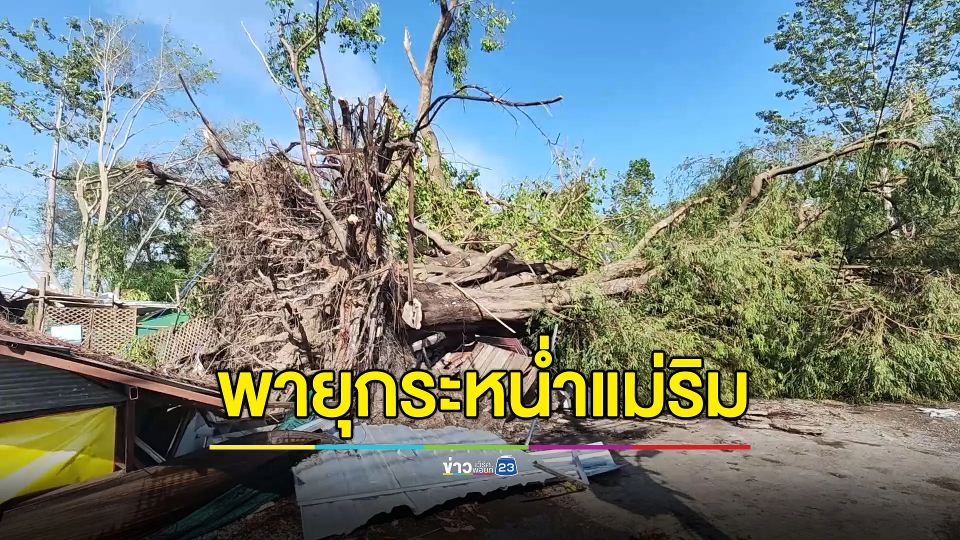 พายุฤดูร้อนกระหน่ำแม่ริม ต้นไม้ใหญ่โค่นทับรถ-ร้านอาหาร