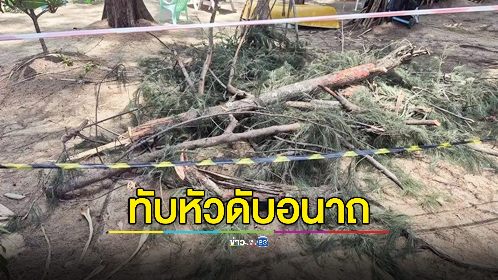 นทท.ขี่ จยย.บนถนนเลียบชายหาดในทอน โดนกิ่งสนทะเลหักทับหัวยุบดับอนาถ