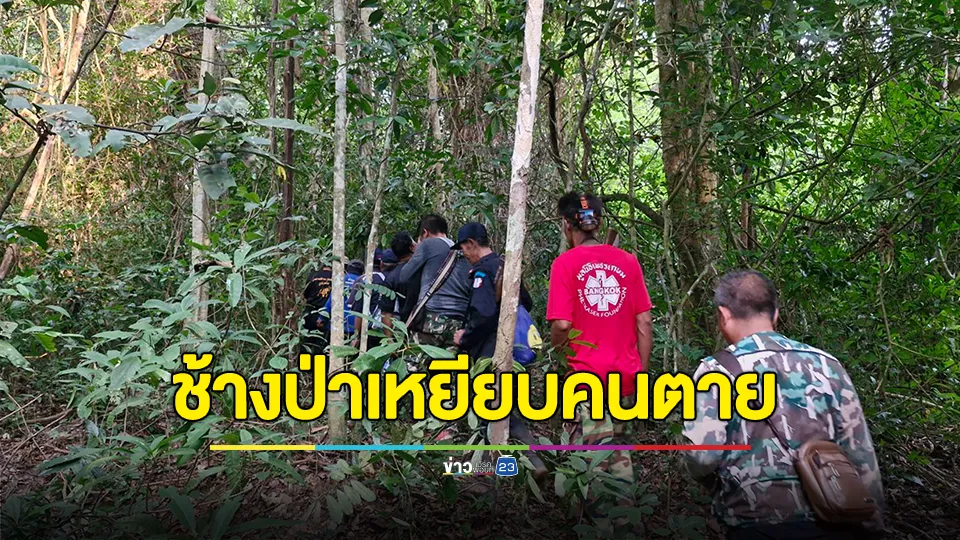 ช้างป่าเหยียบคนตายเสียชีวิต คาดเข้าไปล่าสัตว์ 