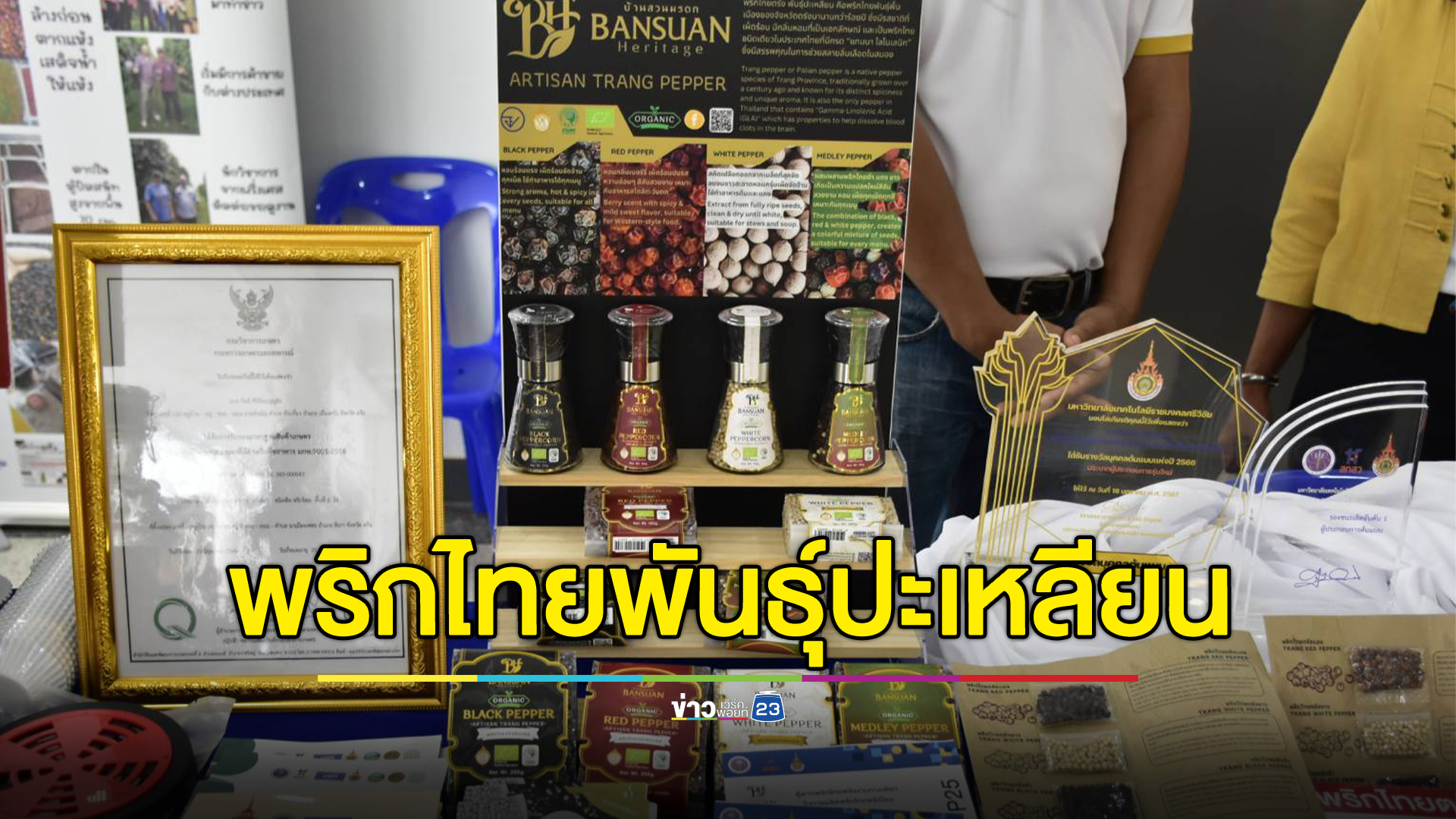 ยกระดับพริกไทย"พันธุ์ปะเหลียน" ขึ้นทะเบียน GI ส่งออกสู่ตลาดโลก