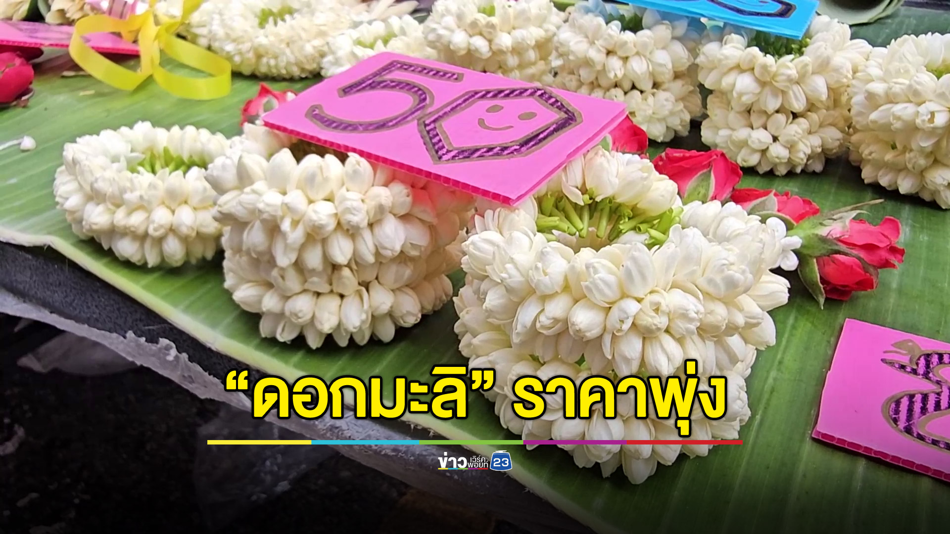 ดอกมะลิ ราคาพุ่ง 900 บาท/กก. 