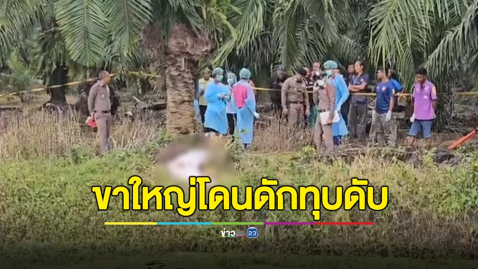 ขาใหญ่เมืองคอน ถูกอริดักทุบตีดับคาสวนปาล์ม