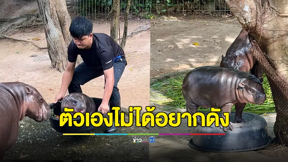 ครูบาอยู่ไหน ช่วยพ่อเบนซ์หมูเด้งด้วย หลังมีคนล้ำเส้นชีวิตส่วนตัว 