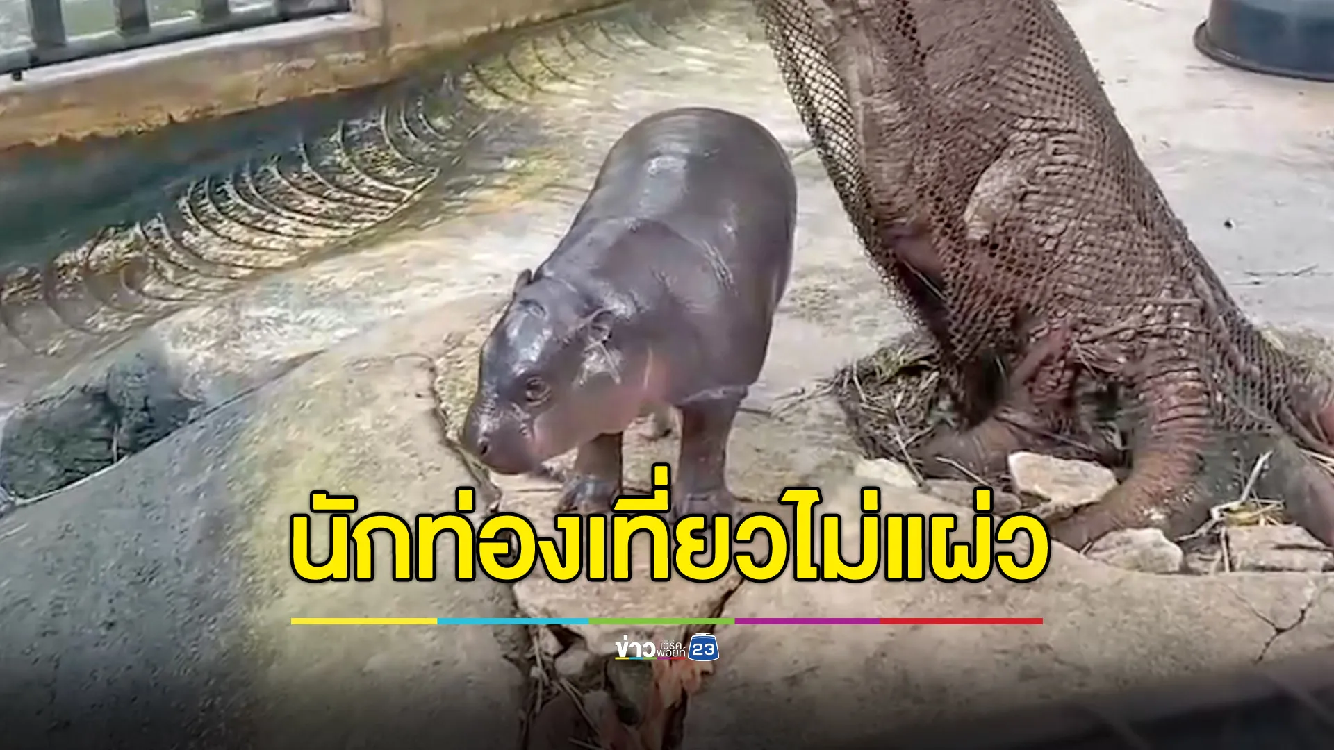 กระแส นทท.ยังไม่แผ่ว เชื่อ PETA แบนเขาเขียวไม่กระทบ