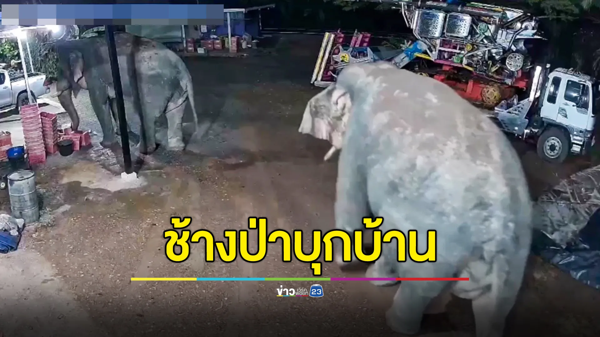 ช้างป่าบุกบ้านรายวัน รื้อกินมะม่วง-ข้าวเปลือก ชาวบ้านหวั่นอันตราย