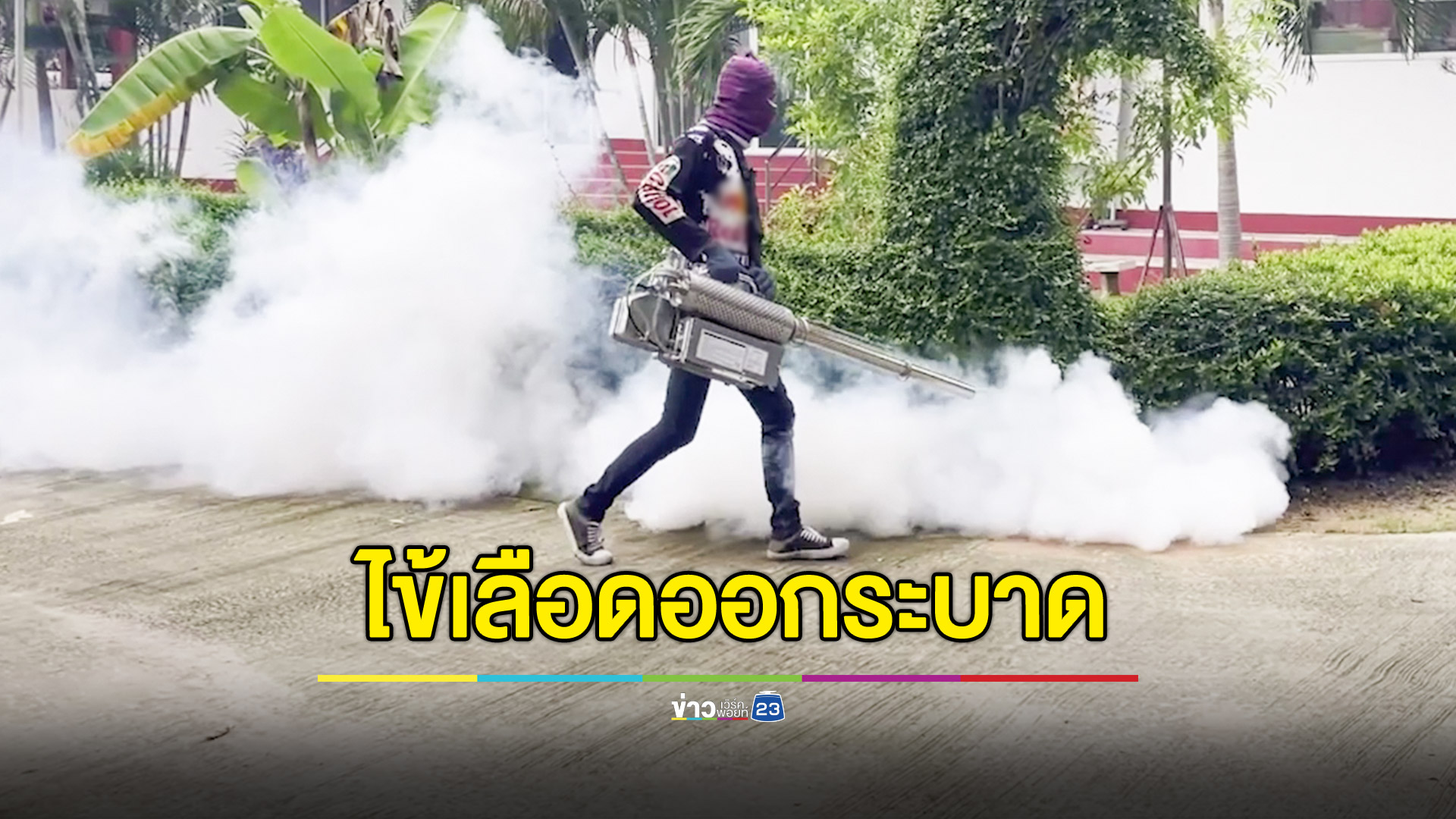 เผยภาคอีสาน พบผู้ป่วยโรคไข้เลือดออก 1,453 ราย