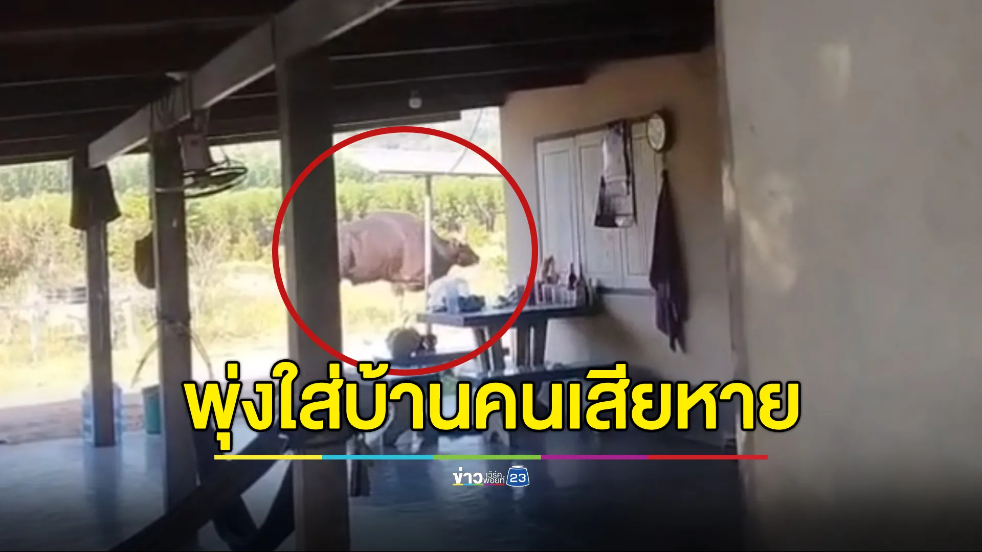 "กระทิงป่าตาบอด"พุ่งใส่บ้านชาวบ้านเสียหาย ระดมเจ้าหน้าที่เฝ้าระวัง