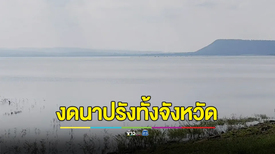 โคราชเสี่ยงภัยแล้ง 10 อำเภอ ประกาศงดนาปรังทั้งจังหวัด