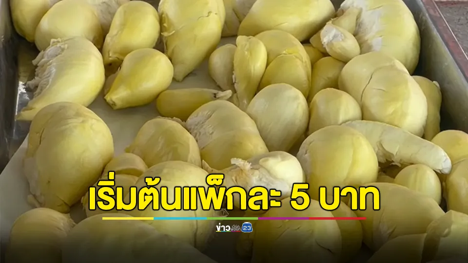 คนแห่ซื้อตรึม! เจ้าของร้านเอาใจคนงบน้อย ทุเรียนเริ่มต้นแพ็กละ 5 บาท
