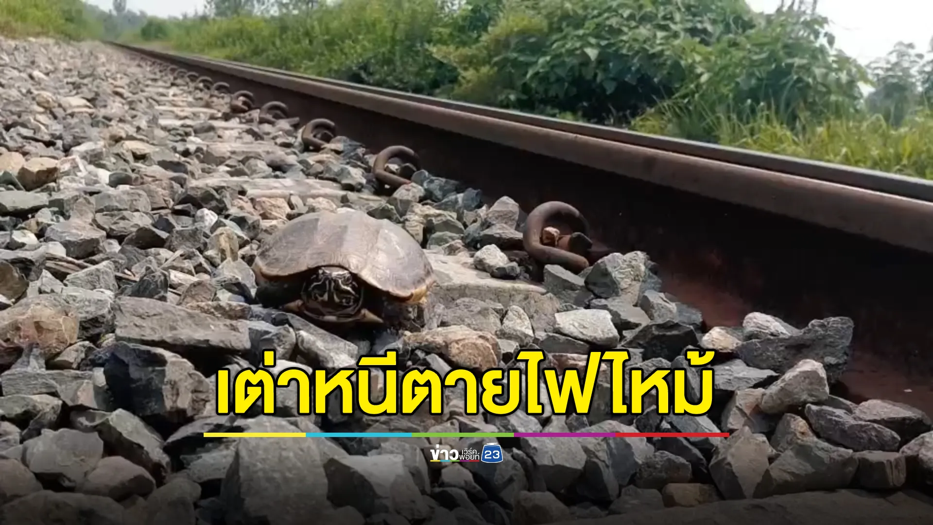 ชาวบ้านลอบจุดไฟเผาป่าล่าสัตว์ลามทางรถไฟพิจิตร 