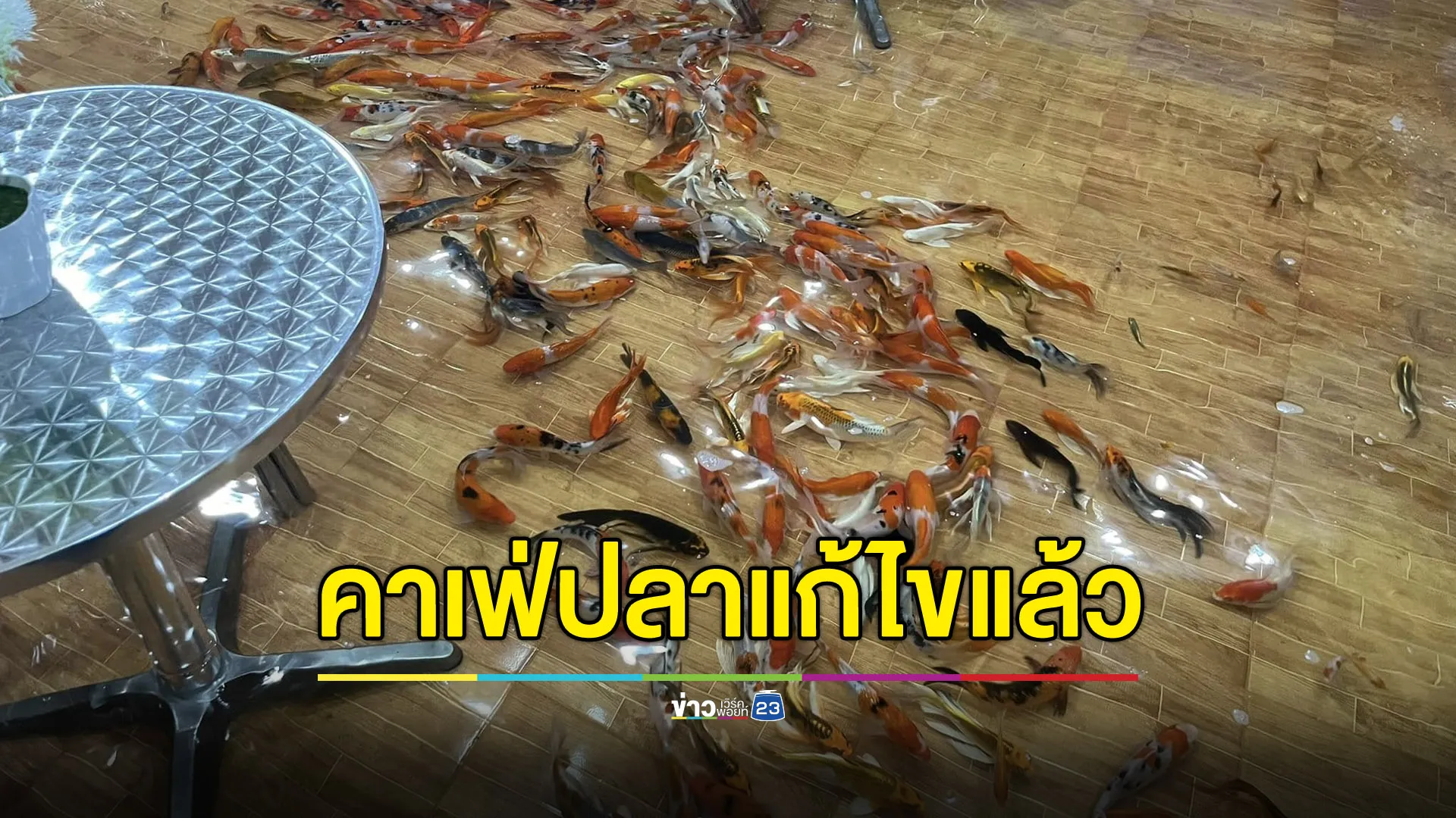 เจ้าของคาเฟ่ปลายอมแก้ไข หลังเจอเสียงวิจารณ์สนั่น