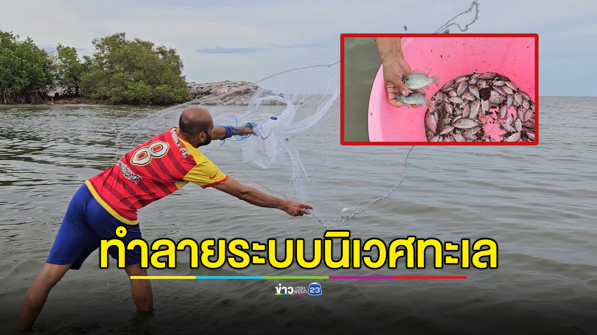 "ปลาหมอคางดำ"เกยตื้นริมทะเลเพชรบุรี ทำลายระบบนิเวศทางทะเล