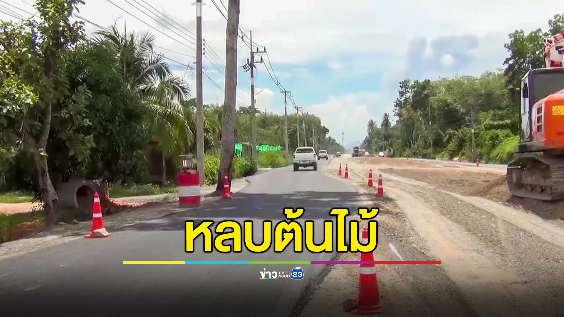 ถนนลาดยางมะตอย แต่ไม่เอาต้นไม้ออก