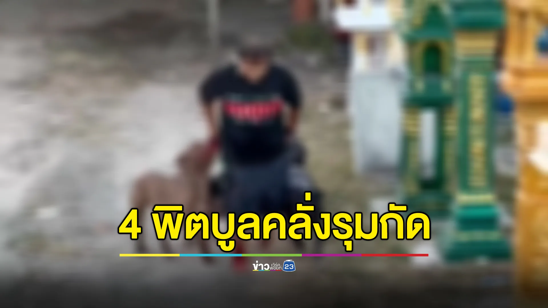 4 สุนัขพิทบูล คลั่งรุมกัดหลานเจ้าของเจ็บหนัก 