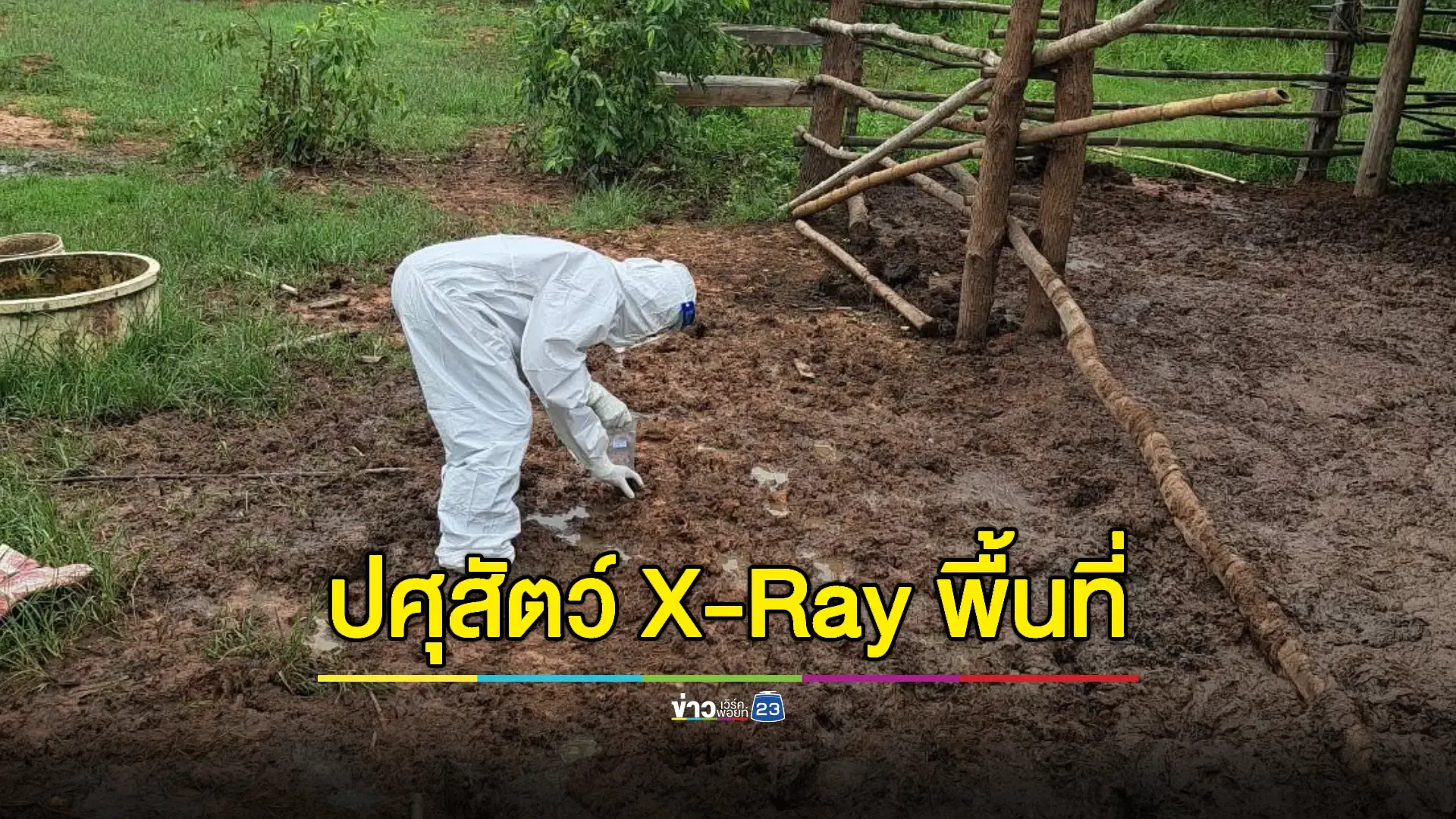 พบกลุ่มเสี่ยงแอนแทรกซ์ 41 ราย ตรวจพื้นที่ไม่พบสัตว์ป่วยหรือตายผิดปกติ