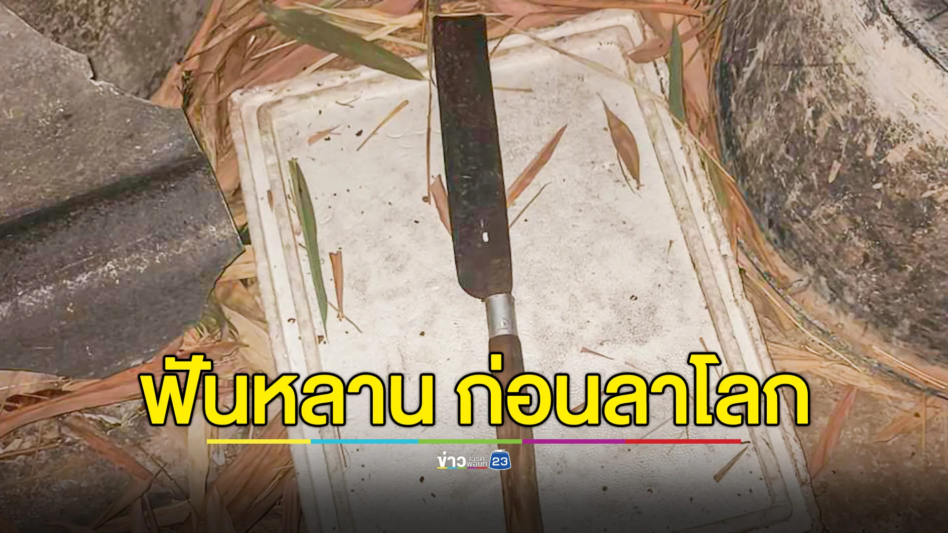 น้าชายเมาขาดสติใช้มีดฟันข้อมือหลานสาวขาด สางปมแค้นสะสม ก่อนหนีไปจบชีวิตตัวเอง