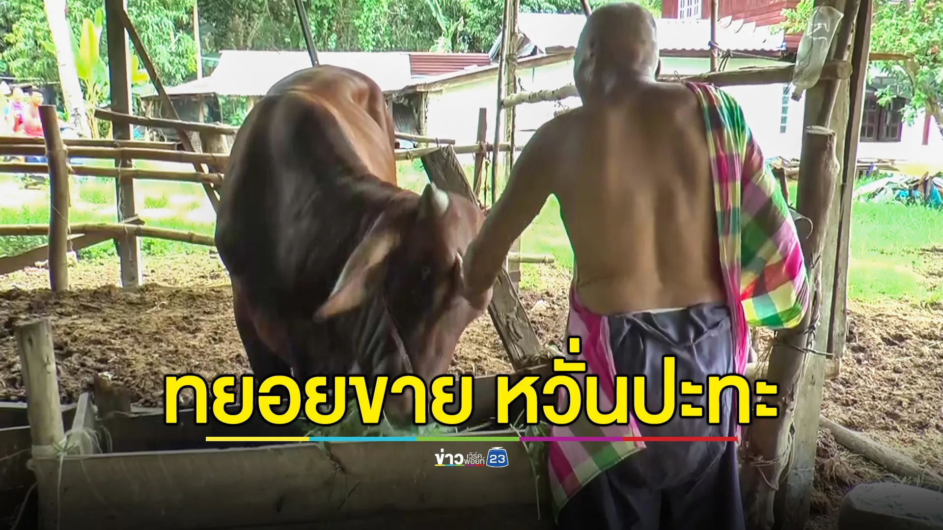 ชาวบ้านชายแดนบุรีรัมย์ ทยอยขายวัว-ควาย หวั่นเกิดการสู้รบหนีไม่ทัน ลุ้นประชุม JBC ยุติพิพาท