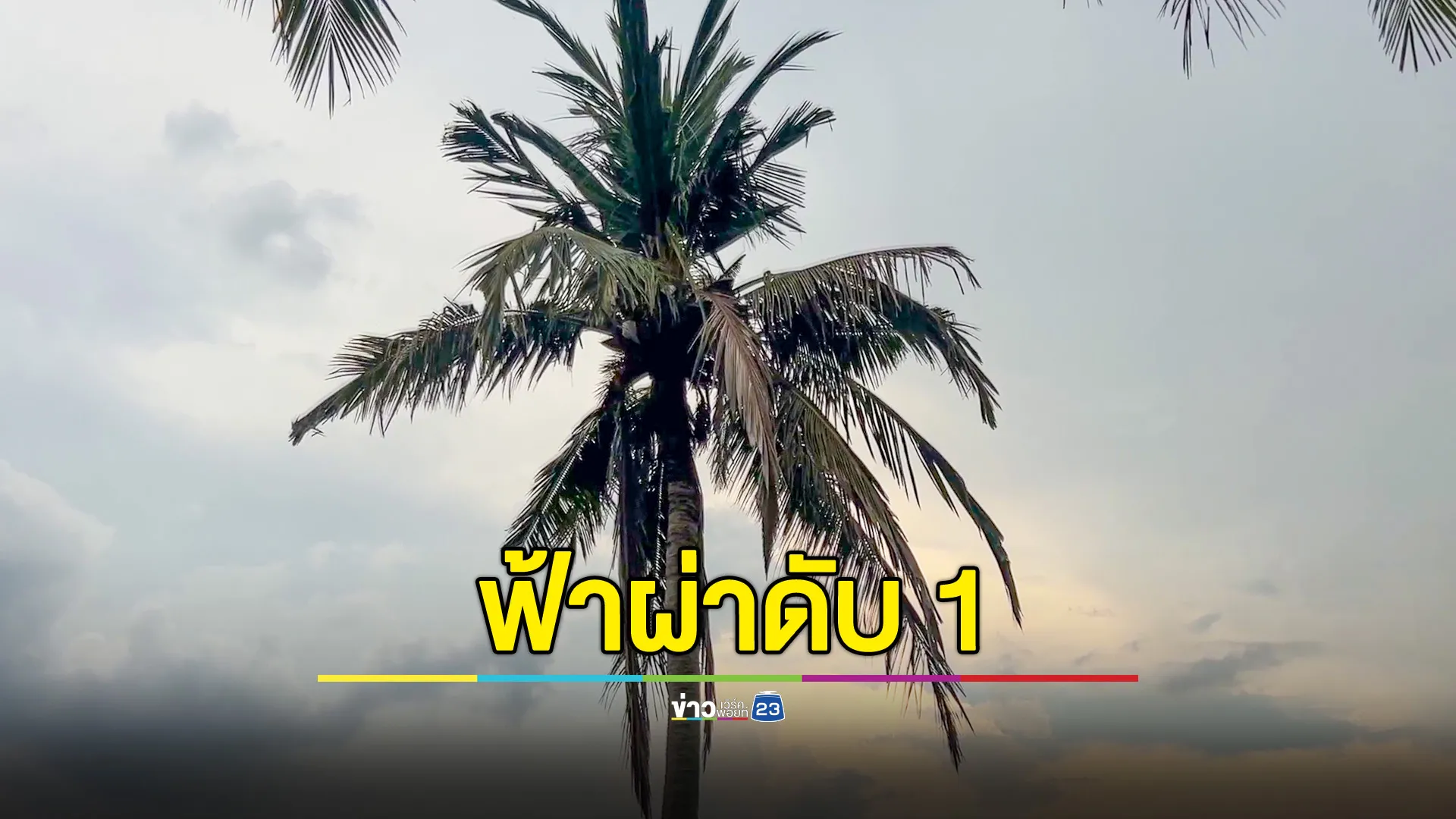 ฟ้าผ่าต้นมะพร้าว ทำชาวบ้านดับอนาถ ขณะเดินไปต้อนวัว