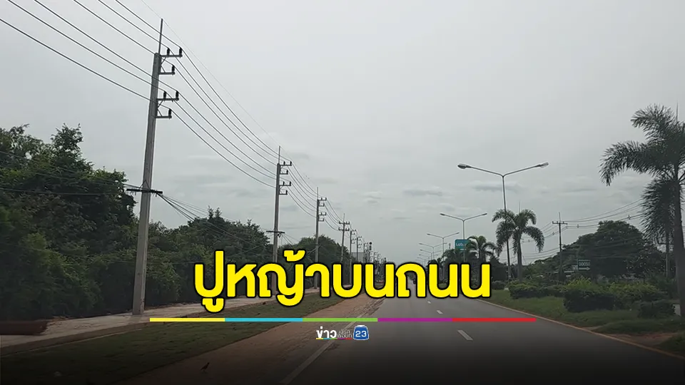 โซเชียลวิจารณ์! ไอเดียปูหญ้าบนถนน โผล่อีกที่ถนนคอนกรีตดีๆ มาเทลาดยางทับ