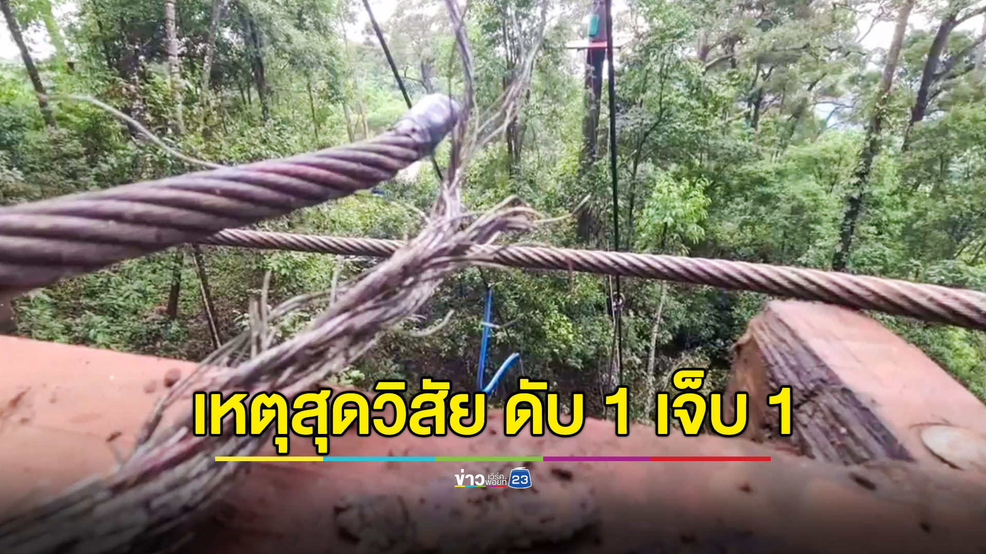 ต้นไม้ล้มทับ Zipline นทท.จีนดับ 1 เจ็บ 1 เจ้าของยันเหตุสุดวิสัย