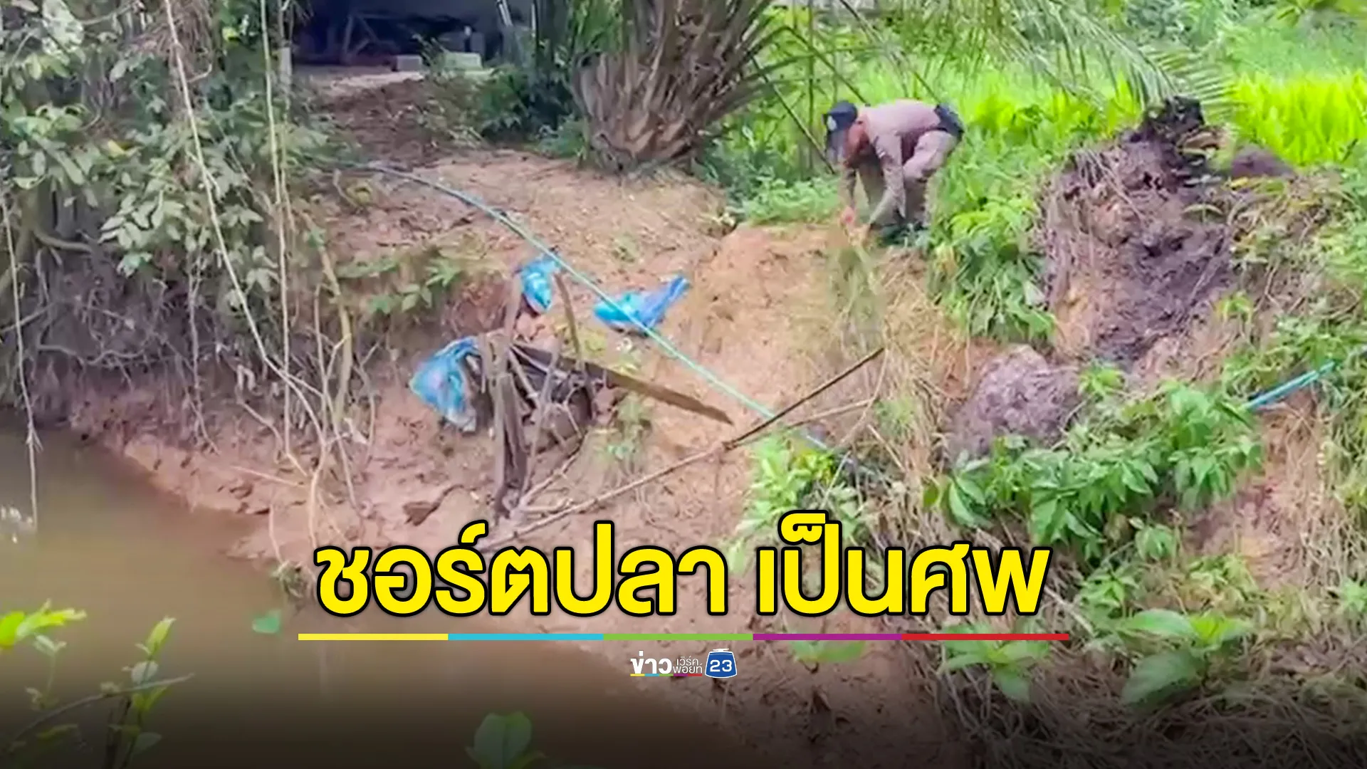 อุทาหรณ์! ชายวัย 56 ขโมยไฟชอร์ตปลา สุดท้ายเป็นศพ 