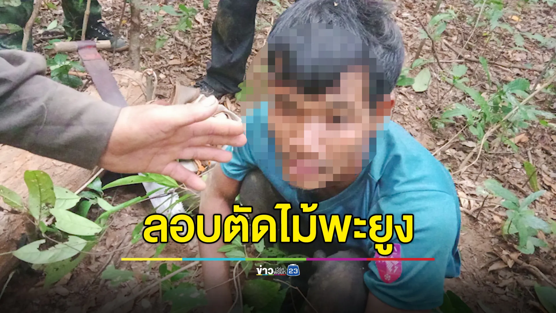  จับชาวกัมพูชาลักลอบตัดไม้พะยูงในเขตไทย