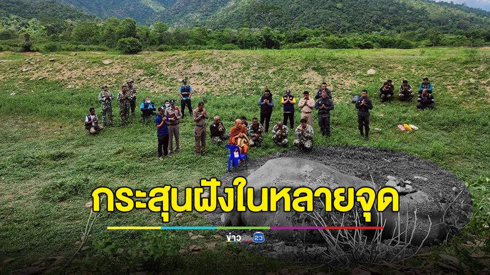 เศร้า! ช้างป่ากุยบุรีขาเจ็บล้มแล้ว หลังทีมแพทย์พยายามรักษาอาการกว่า 3 วัน 
