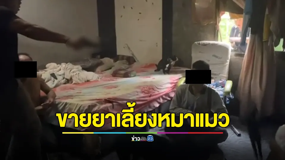 ชายใจบุญรักสัตว์ แต่เลือกทางผิด! จำหน่ายยาบ้าหาเงินเลี้ยงหมาแมวกว่า 30 ตัว 