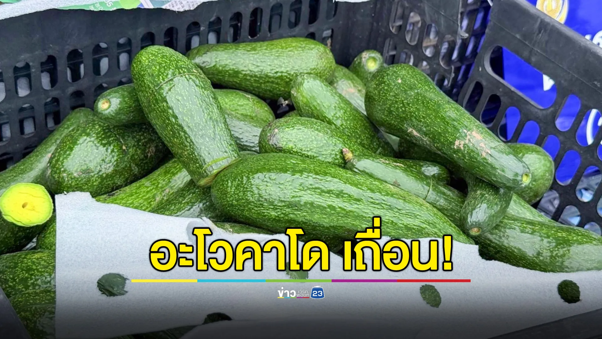 นรข.มุกดาหาร สกัดจับขบวนการลักลอบนำเข้าอะโวคาโด รวม 4,250 กก.