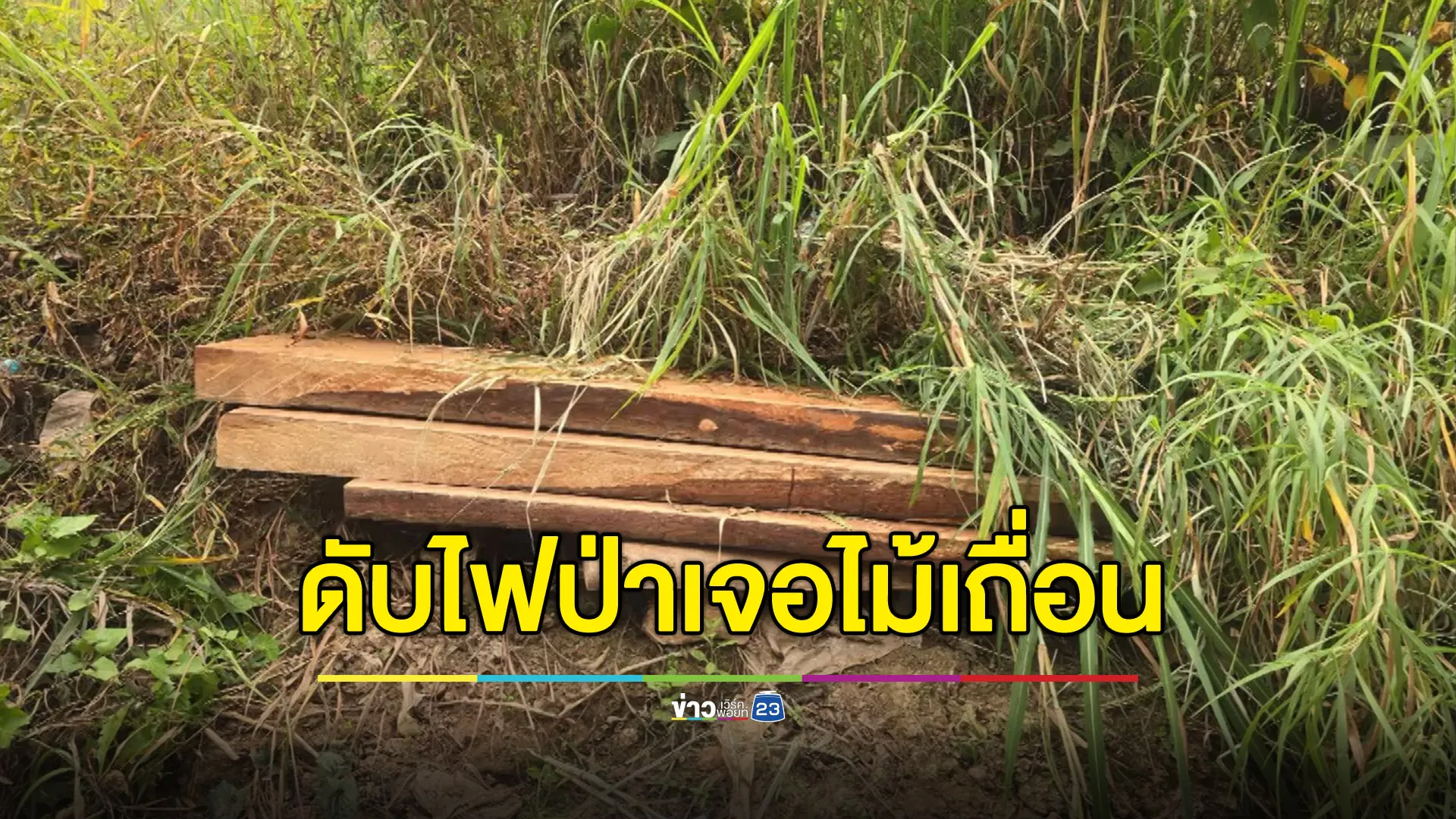 เข้าป่าดับไฟกลับเจอไม้เถื่อนกองใหญ่ ขยายผลรวบอีกเพียบ