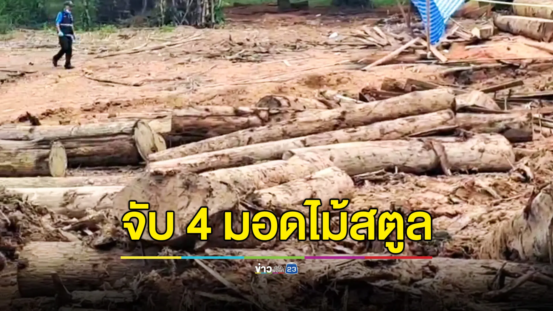จับผู้ต้องหา 4 ราย ยึดไม้แปรรูปซุกสระน้ำ-ฝังดินกลางสวนยางในเขตป่าสงวนสตูล