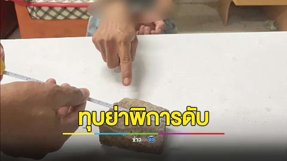 หลานใช้ก้อนหินทุบย่าพิการดับ อ้างหงุดหงิดต้องคอยเก็บอึ-ฉี่และถูกต่อว่า