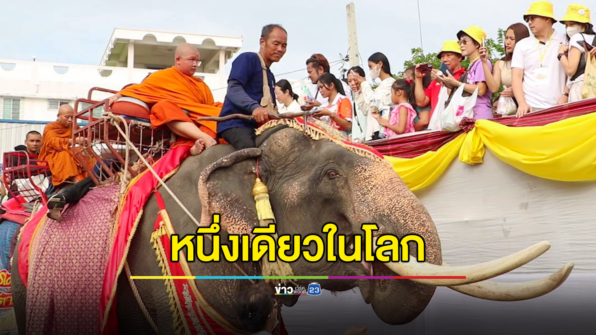 ตักบาตรบนหลังช้าง วันอาสาฬหบูชา-เข้าพรรษา หนึ่งเดียวในโลก